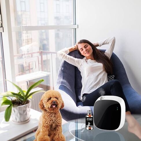 Roy Tranquility Essential Oil Inspired by Ritz-Carlton Hotel for Diffusers, Pure Hotel Diffuser Oil, Lush Sandalwood, Musk and Papyrus, Home Luxury & Hotel Scent Collection- 30ML in Kuwait