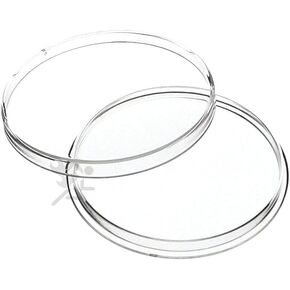 10 Air-Tite Direct Fit "H40" Coin Holders for SILVER EAGLES