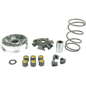 Athena P400480110010 Speed Variator