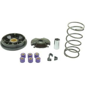 Athena P400325110001 Speed Variator