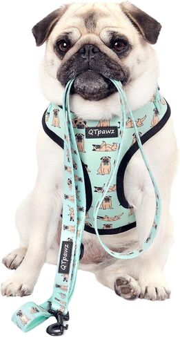 Pug Vest Harness and Matching Leash, Breathable Mesh Interior Liner, 4 Adjusting Buckles to Get The Perfect Pug Fit (X-Small) in Saudi Arabia