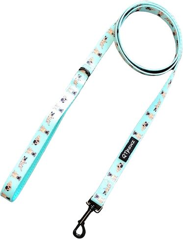 Pug Vest Harness and Matching Leash, Breathable Mesh Interior Liner, 4 Adjusting Buckles to Get The Perfect Pug Fit (X-Small) in Saudi Arabia