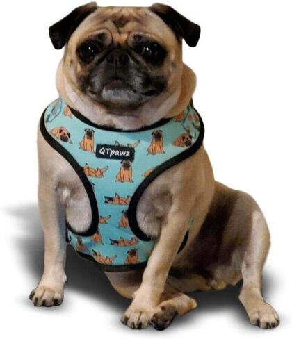 Pug Vest Harness and Matching Leash, Breathable Mesh Interior Liner, 4 Adjusting Buckles to Get The Perfect Pug Fit (X-Small) in Saudi Arabia