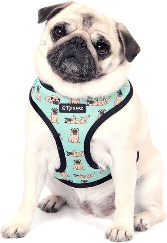 Pug Vest Harness and Matching Leash, Breathable Mesh Interior Liner, 4 Adjusting Buckles to Get The Perfect Pug Fit (X-Small) in Saudi Arabia