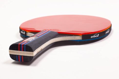 Carbon Pro Ping Pong Paddle Set of 4 | 2 Layer Carbon Blade with 5 ply Wood | Eight 3-Star Premium 40 + ABS Balls | Beautiful Storage Case. in Saudi Arabia