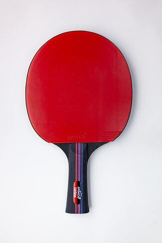 Carbon Pro Ping Pong Paddle Set of 4 | 2 Layer Carbon Blade with 5 ply Wood | Eight 3-Star Premium 40 + ABS Balls | Beautiful Storage Case. in Saudi Arabia