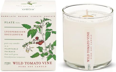 KOBO Fresh Cut Grass Candle with Plantable Box (9 oz) | Plant The Box Collection, 100% Pure Soy Wax Candles | Hand-Poured in USA | Long Lasting 60 Hour Burning Candles | Scented Candles for Home in Saudi Arabia