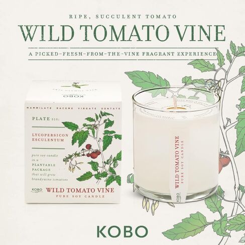 KOBO Fresh Cut Grass Candle with Plantable Box (9 oz) | Plant The Box Collection, 100% Pure Soy Wax Candles | Hand-Poured in USA | Long Lasting 60 Hour Burning Candles | Scented Candles for Home in Saudi Arabia