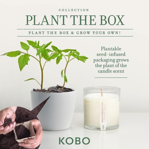 KOBO Fresh Cut Grass Candle with Plantable Box (9 oz) | Plant The Box Collection, 100% Pure Soy Wax Candles | Hand-Poured in USA | Long Lasting 60 Hour Burning Candles | Scented Candles for Home in Saudi Arabia
