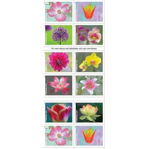 Garden Beauty Forever Postage Stamps Book of 20 self-stick First Class Wedding Celebration Anniversary Flower Party (20 Stamps)