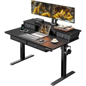 ErGear Standing Desk with Drawers, 48 x 30 Inches Height Adjustable Desk with Storage, Electric Sit Stand Desk, 4 Memory Preset Computer Home Office Desk with Cable Management Tray, Black