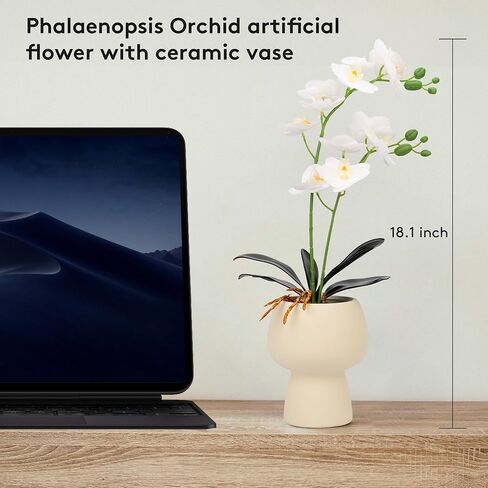 Artificial Fake Flowers for Home/Wedding Decoration, Simulated Peony Flowers with Glass Vase - 14.96 inches, Made of Realistic Plastic Material,A Great Gift for Anyone in Saudi Arabia