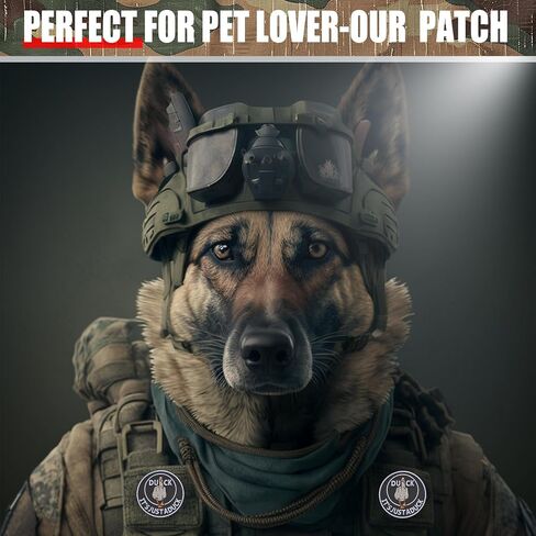 Asshole Merit Badge Morale - Tactical Velcro Patch Funny 3" Embroidered Hook and Loop Patch - Morale Patch for Patch Wall,Harness,Backpack,Hats,Lunch Bags,Dog Vests,Jackets - 1 Pc in Saudi Arabia