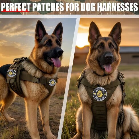 Asshole Merit Badge Morale - Tactical Velcro Patch Funny 3" Embroidered Hook and Loop Patch - Morale Patch for Patch Wall,Harness,Backpack,Hats,Lunch Bags,Dog Vests,Jackets - 1 Pc in Saudi Arabia