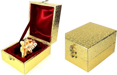ASHIRWAD Original Ganesh Shankh, Conch Shell for Puja Ritual, all Well-being, Health and Success for Life (Ganesh Shankh (Pouch) - 3.5 in) in Kuwait