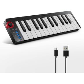 Donner Mini MIDI Keyboard, N-25 25 Key MIDI Controller with Velocity-Sensitive Mini Keys&Light-up Rocker and Music Production Software Included, Small MIDI Keyboard with 40 Teaching Courses