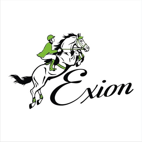 Bling Browbands for Horses– Adorn Your Bridle with Sparkly Diamante Crystals and U-Shape Padded Leather | Crystal Color- Topaz in Kuwait