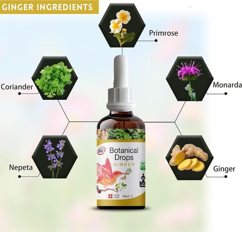 Botanical Drops Boost, Natural Drops, and Immune Support Drops for Women and Men (1PC) in Saudi Arabia