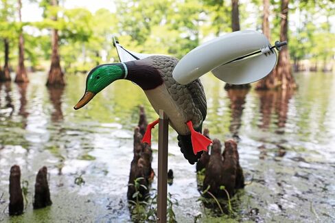 MOJO Outdoors New Flock A Flicker 2 Motion Spinning Wing Duck Decoys (4 Pack), Brown (HW2531) in Saudi Arabia