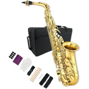 Alto Saxophone Beginner kit for Adults, Student Saxophone Alto Eb, Professional Saxophone Instrument with Mouthpiece, Straps, Reeds, Pads, Case (Gold)
