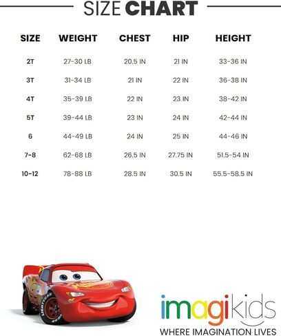 Disney Lion King Mickey Mouse Cars Polo Shirt and Shorts Outfit Set Toddler to Big Kid in Kuwait