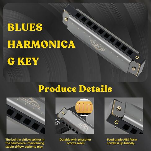 EastRock Blues Harmonica Mouth Organ 10 Hole G Key with Case, Diatonic Harmonica for Professional Player, Beginner, Students gifts, Adult, Friends, Gift Black in Saudi Arabia