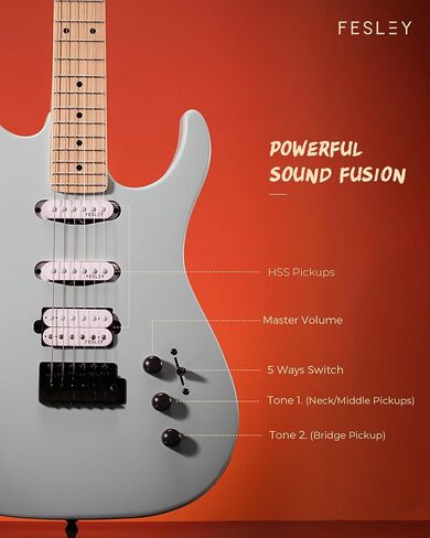 Fesley 39" Electric Guitar, Full Size Solid Body Electric Guitars For Beginner, ST Style, Maple Neck/Fretboard, Electric Guitar Kit With HSS Pickup, Gig Bag, Matte, Morandi Black in Saudi Arabia
