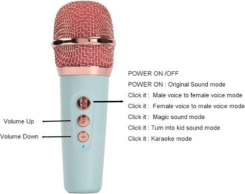 Portable Bluetooth Speaker with Microphone Set,Retro Bluetooth Speaker with Home Karaoke Machine,Portable Handheld Karaoke Mics Speaker Machine for Kids and Adults Home Party Birthday (Pink) (Green) in Saudi Arabia