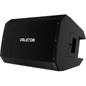 Valeton 10 inch, 2-Way FRFR 1300-Watt Active Speaker for Guitar, Bass, Multi FX and Amp Modelers