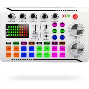F998 Professional Audio Mixer,Voice Changer and Audio Interface with DJ Mixer Effects,Podcast Production Studio Equipment,for Podcasting/Gaming/Karaoke/Tiktok/YouTube Streaming White