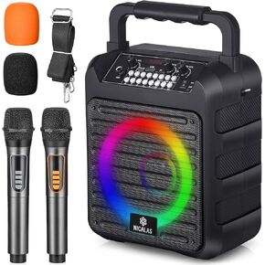 Portable Karaoke Machine for Adults with Display and Controls