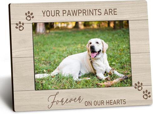 Pet Memorial 4x6 Picture Frame, Dog Cat Bereavement Remembrance Gifts, Sympathy Gifts for Loss Of Pet Dog Cat, the Best Angels Have Wings and Whiskers Picture Photo Frames for Desk Decor in Kuwait
