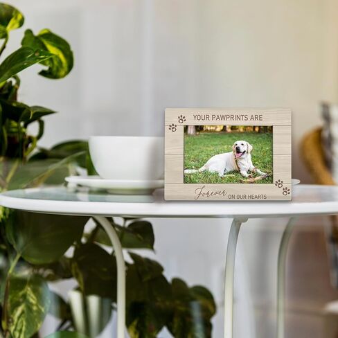 Pet Memorial 4x6 Picture Frame, Dog Cat Bereavement Remembrance Gifts, Sympathy Gifts for Loss Of Pet Dog Cat, the Best Angels Have Wings and Whiskers Picture Photo Frames for Desk Decor in Kuwait