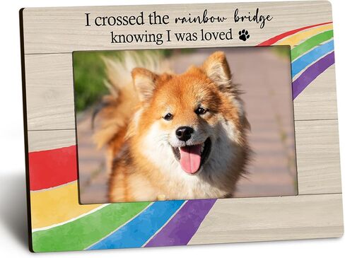 Pet Memorial 4x6 Picture Frame, Dog Cat Bereavement Remembrance Gifts, Sympathy Gifts for Loss Of Pet Dog Cat, the Best Angels Have Wings and Whiskers Picture Photo Frames for Desk Decor in Kuwait