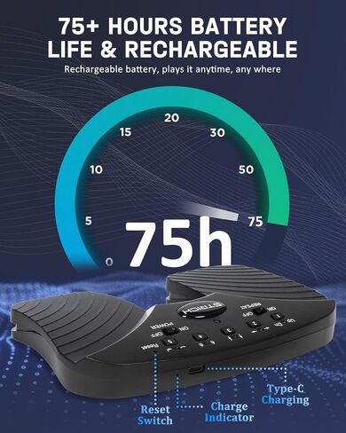 STRICH Wireless Page Turner Pedal for iPad, Rechargeable Music Page Turner Pedal, USB Silent Foot Pedal for Tablets Smartphones iPad Pro Multimedia Platforms PC, SPT-10 in Saudi Arabia
