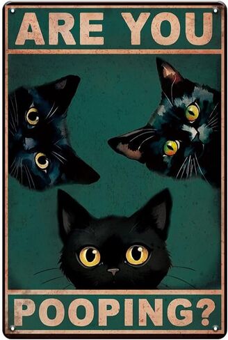 Cat Signs Bathroom Wall Decor Bathroom Signs Decor Funny, Black Cat Gifts Bathroom Accessories Are You Pooping Cat Sign, 8x12 Inches Cute Bathroom Decor in Kuwait