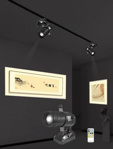 LED pinspot Stage Light,SENLAN 6W Double White/Cool White&Warm White pinspot by IR Controller in Saudi Arabia