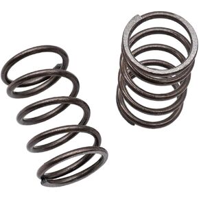22LBS Valves Springs for Honda GX120/GX200/Clone/Predator 2 PCS