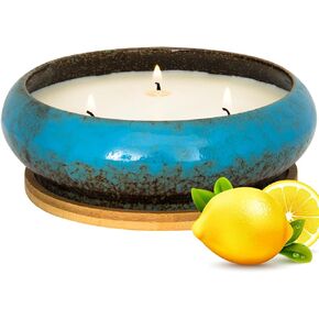 Scented Candles, 3 Wicks Large Sage Candles for Home Scented, 17 oz Aromatherapy Candle Gifts for Women, Decorative Natural Soy Candles with Long Lasting for Mother's Day Birthday Anniversary