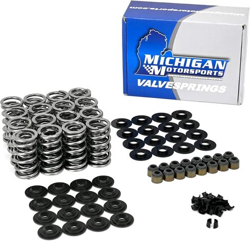 Michigan Motorsports .645 "LS طقم زنبركي مزدوج الصمامات مع مثبتات فولاذية LS1 LS3 4.8 5.3 5.7 6.0 6.2 Valvesprings in Saudi Arabia