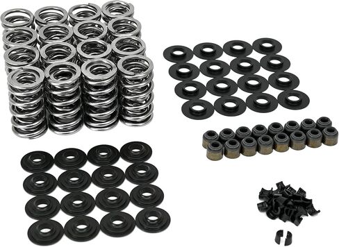 Michigan Motorsports .645 "LS طقم زنبركي مزدوج الصمامات مع مثبتات فولاذية LS1 LS3 4.8 5.3 5.7 6.0 6.2 Valvesprings in Saudi Arabia