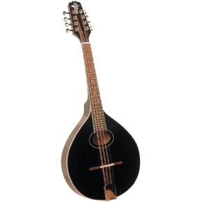 Trinity College TM-275 Standard Celtic Mandola with Gig Bag - Natural Top