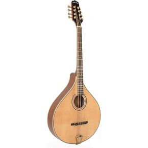 Gold Tone OM-800+ Octave Mandolin (Mahogany)