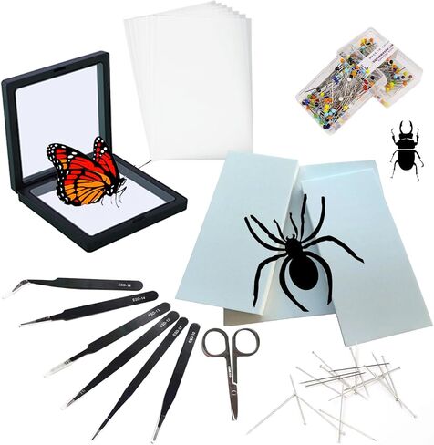 Make Insect Specimen Toolkit, Butterfly Taxidermy Tool for Classroom Teaching, with EVA Making Table, Insect Clip, Insect Display Box, Insect Collection for Insect hobbyist & Biology Projects in Saudi Arabia