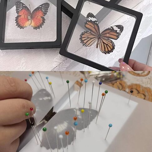 Make Insect Specimen Toolkit, Butterfly Taxidermy Tool for Classroom Teaching, with EVA Making Table, Insect Clip, Insect Display Box, Insect Collection for Insect hobbyist & Biology Projects in Saudi Arabia