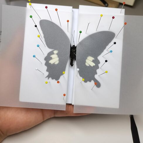 Make Insect Specimen Toolkit, Butterfly Taxidermy Tool for Classroom Teaching, with EVA Making Table, Insect Clip, Insect Display Box, Insect Collection for Insect hobbyist & Biology Projects in Saudi Arabia