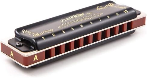 Diatonic Harmonica 10 Hole Blues Harmonica T008K Harmonica set 7 Keys box for Beginners, Adults, Students, Professional Players, Band Instruments (Black ABCDEFG) in Saudi Arabia
