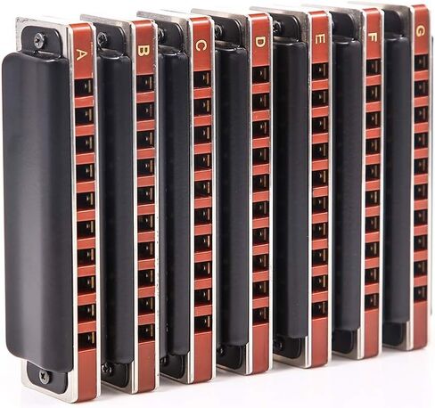 Diatonic Harmonica 10 Hole Blues Harmonica T008K Harmonica set 7 Keys box for Beginners, Adults, Students, Professional Players, Band Instruments (Black ABCDEFG) in Saudi Arabia