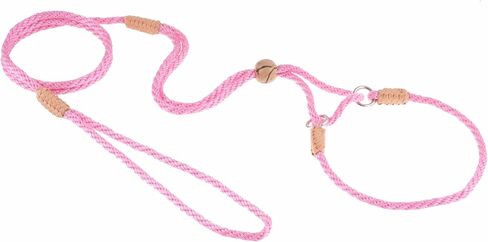 Alvalley Martingale Dog Leash with Collar - Soft, Nylon Leash for Dogs - Comes with Tagua Bead Stopper - Perfect for Small, Medium Dogs - Suitable for Training & Walking in Kuwait