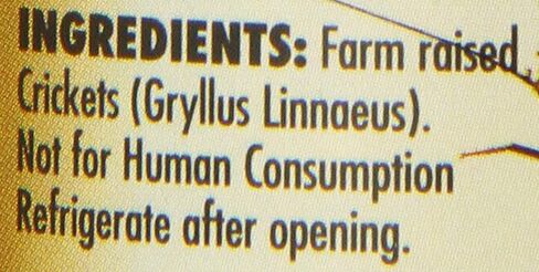 Zoo Med Laboratories Can O Crickets Pet Food, 1.2 Ounce Each (3 Pack) in Kuwait
